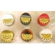 Tanjore Small Butterfly Hair Clips -Coloured